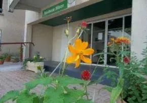 Photo principale de Foyer Logement Wilson - Résidence Services Seniors