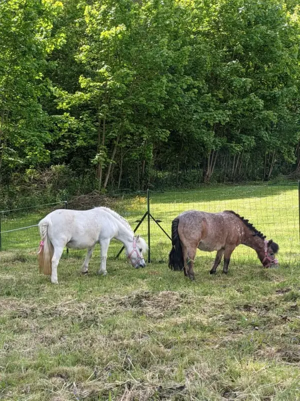 Photo principale de Residence Les Clos De St Martin D'Ablois - Maison de retraite / EHPAD