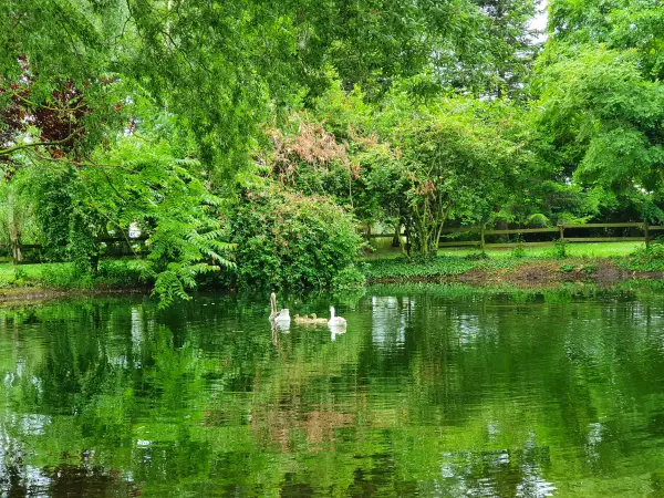 Photo de EHPAD Du Château De Cuinchy - Maison de retraite / EHPAD
