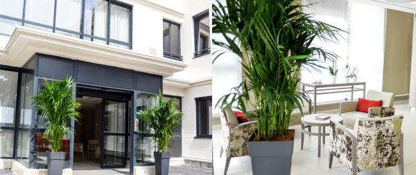 Le Chateau Saint Valery - Maison de retraite / EHPAD à Montmorency