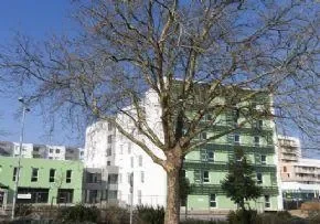 Ehpad Suzanne Flon - Maison de retraite / EHPAD à Saint-Nazaire