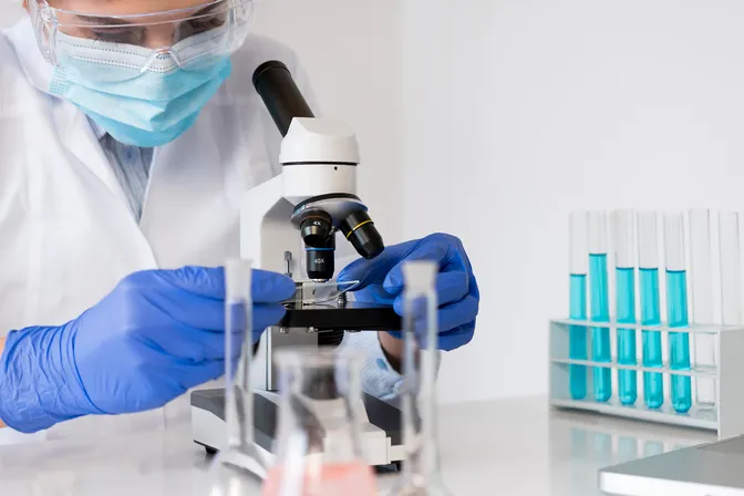 La spermine : une molécule naturelle prometteuse contre Alzheimer et Parkinson